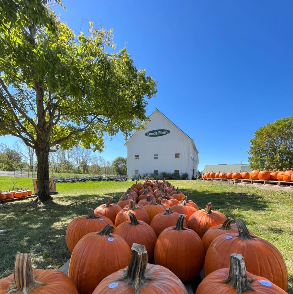 spooktacular-fun-halloween-events-in-ohio-eagle-stays